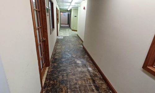 Basement Level Floor - Before