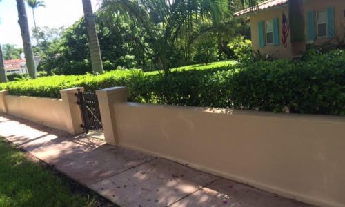 Fence Painting on Coral Way