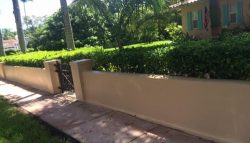 Fence Painting on Coral Way