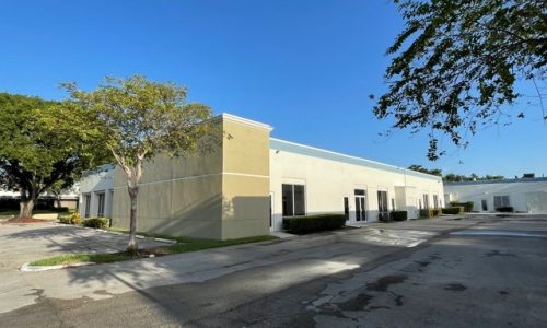 Prospect Park after photo 6