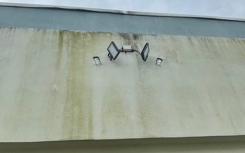 Prospect Park before photo 7