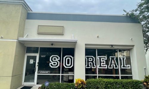 Prospect Park before photo 5