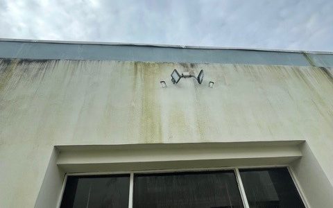 Prospect Park before photo 6