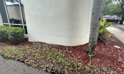 Prospect Park before photo 2