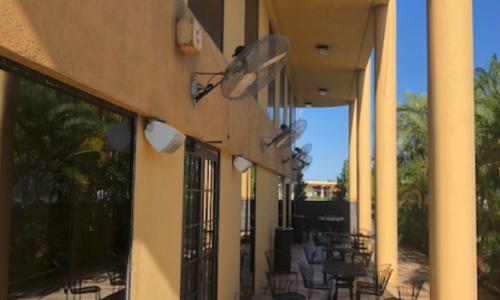 Yellow Frames and Trim