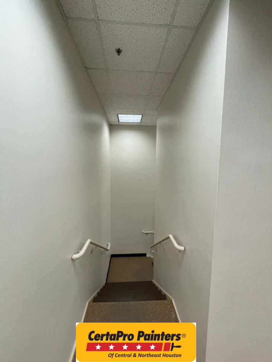 Best Professional Commercial Painters Near Me Preview Image 2