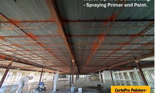 During - Primer and Paint Application