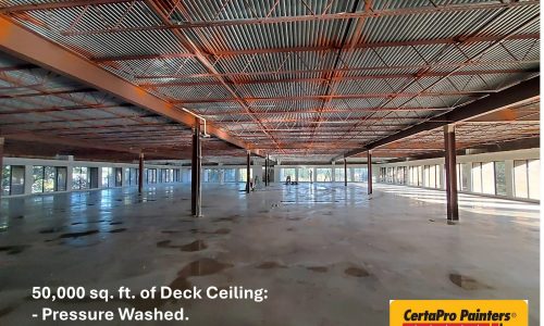 During - Pressure Washing