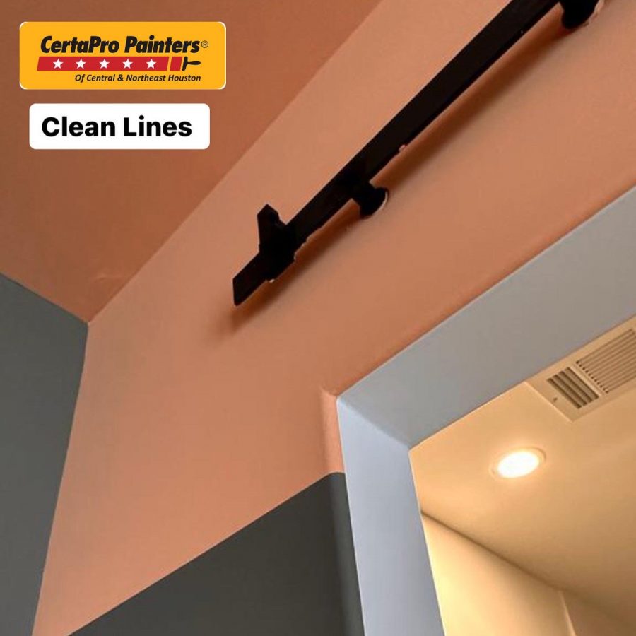 Professional Painting Services in Houston. Preview Image 2