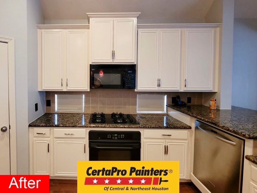 Professional Painters in Houston, TX