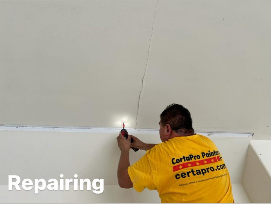 Painters in Houston Preview Image 8