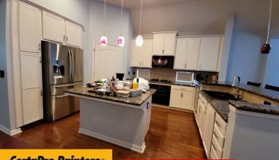 Professional Painting Services Near Me