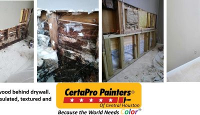 Light Carpentry Repair in Houston, TX