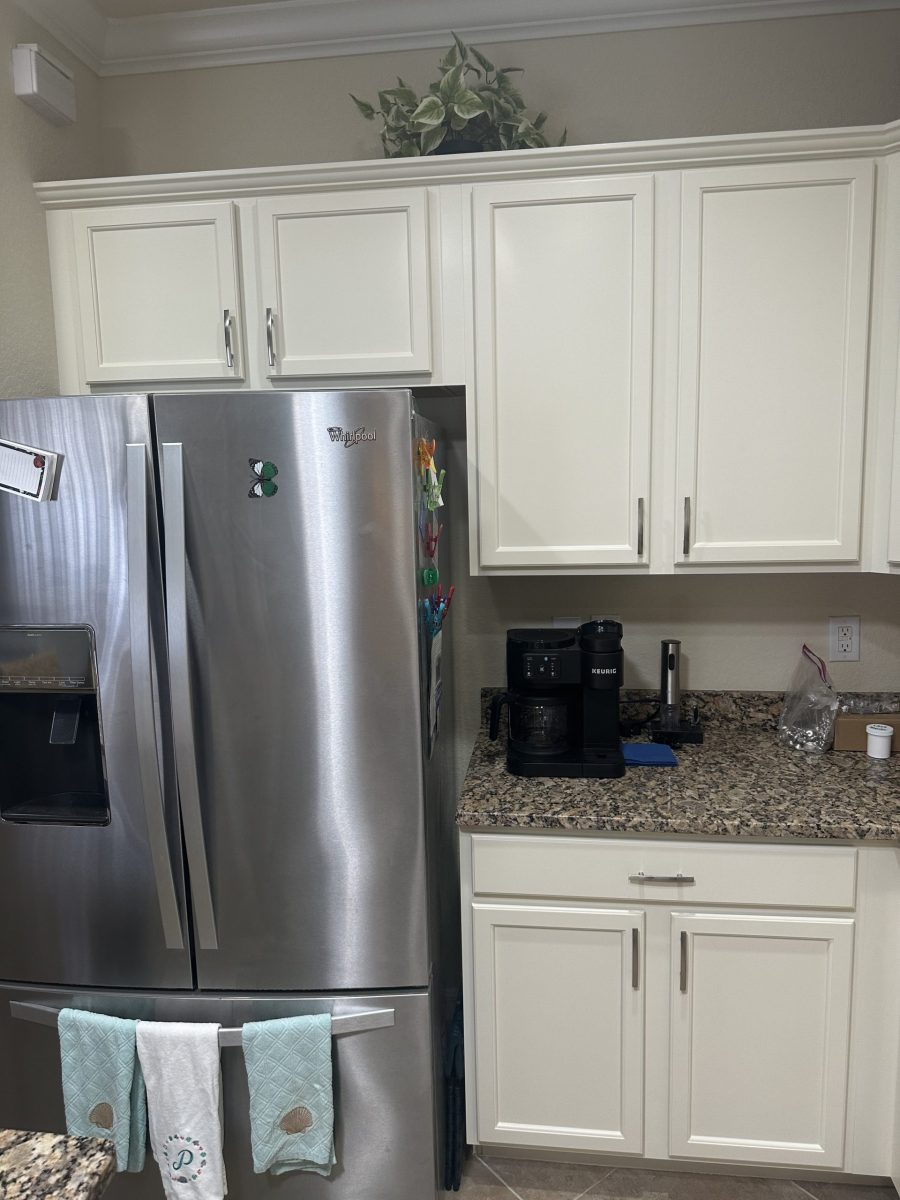 painted white pumpkins Preview Image 3