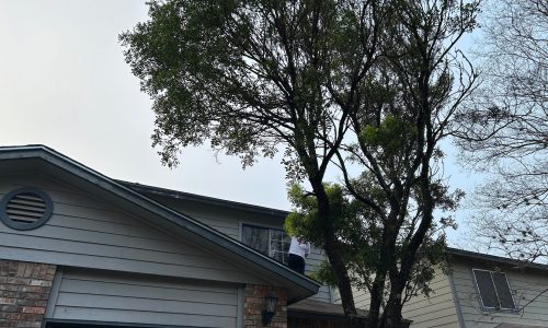 Trim Updates