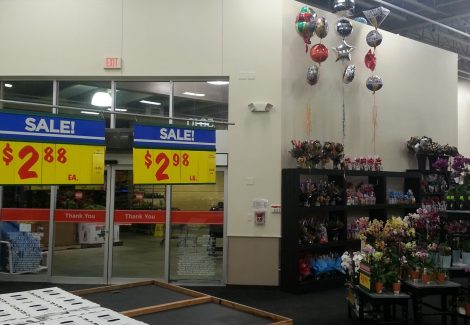 Commercial Interior Painting