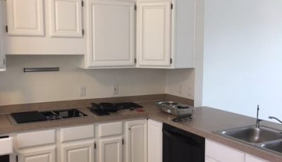 White Kitchen Cabinet Painting