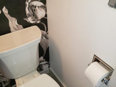 bathroom painting