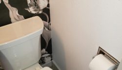 bathroom painting