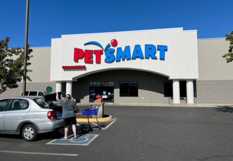PetSmart Commercial Painting