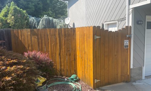 Fence Staining Project