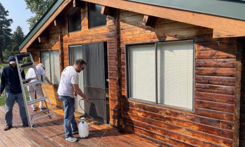 Log Cabin Restoration (During)