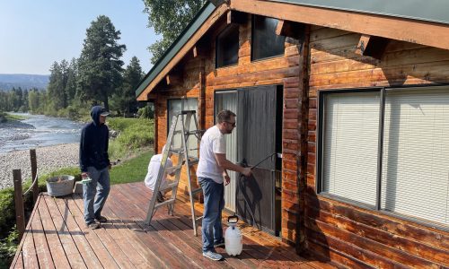 Log Cabin Restoration (During)