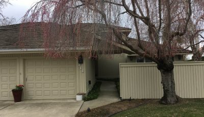 Exterior House Painting