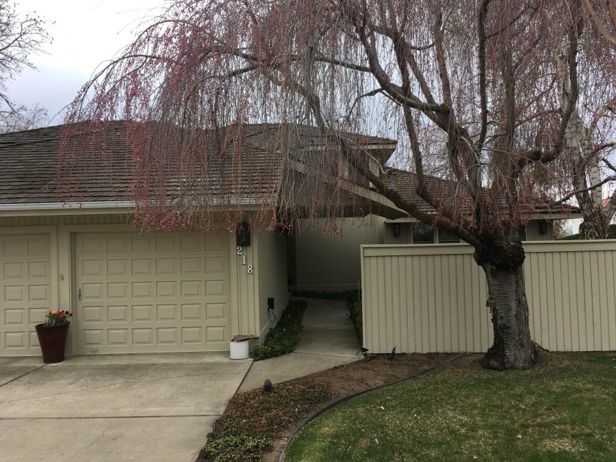 Exterior House Painting