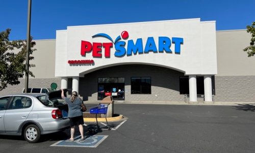 Petsmart Painting Service