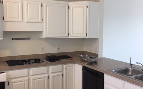 White Kitchen Cabinet Painting