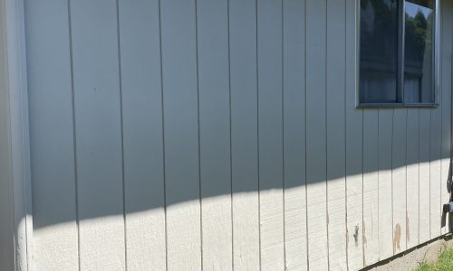 Siding Painting