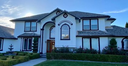 Black & White Stucco Painting