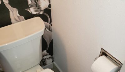 bathroom painting