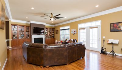 Poplar Tree, VA Living Room Project