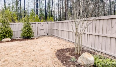 backyard fence after painting in NC