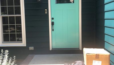 exterior painting for front doors