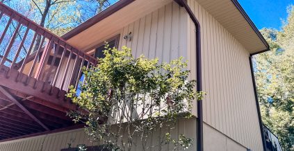 Residential Exterior Painting