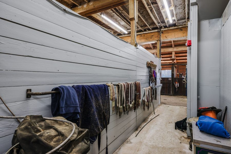 seabrook island equestrian center Preview Image 3