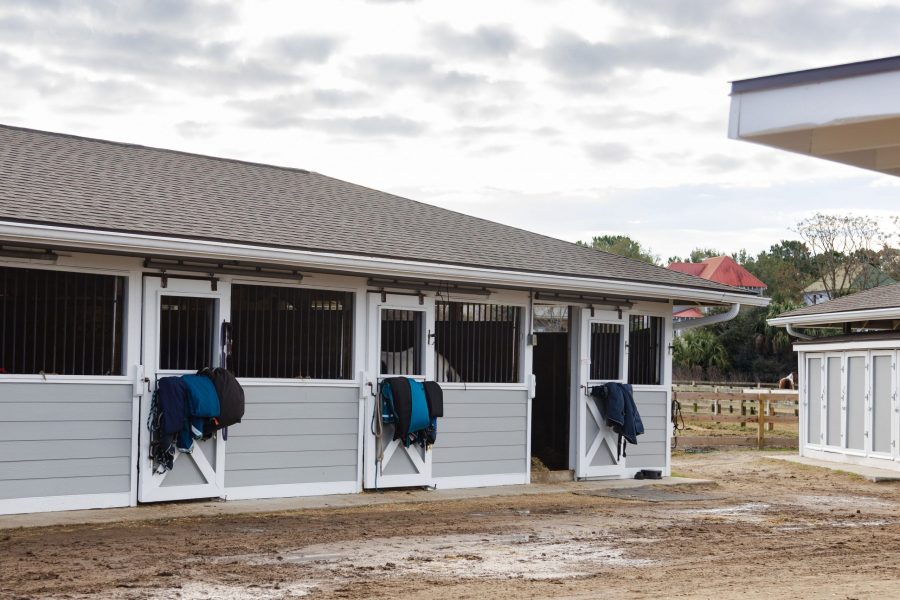 seabrook island equestrian center Preview Image 9