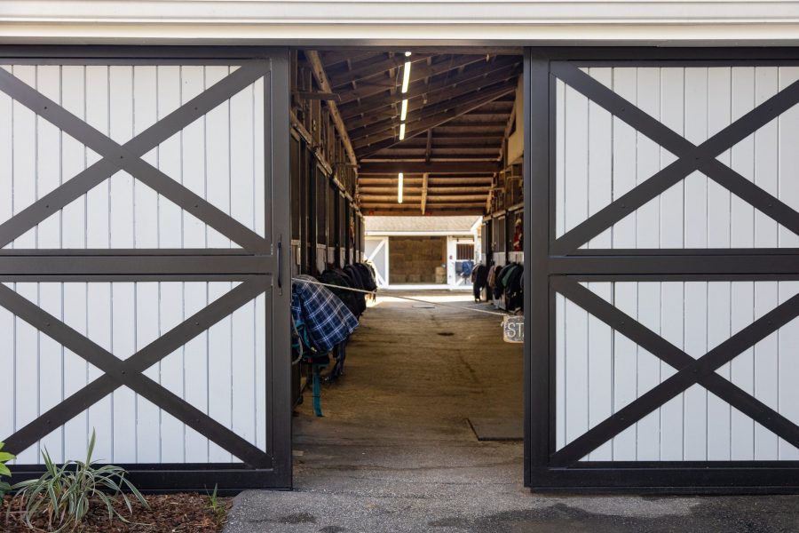 seabrook island equestrian center Preview Image 4