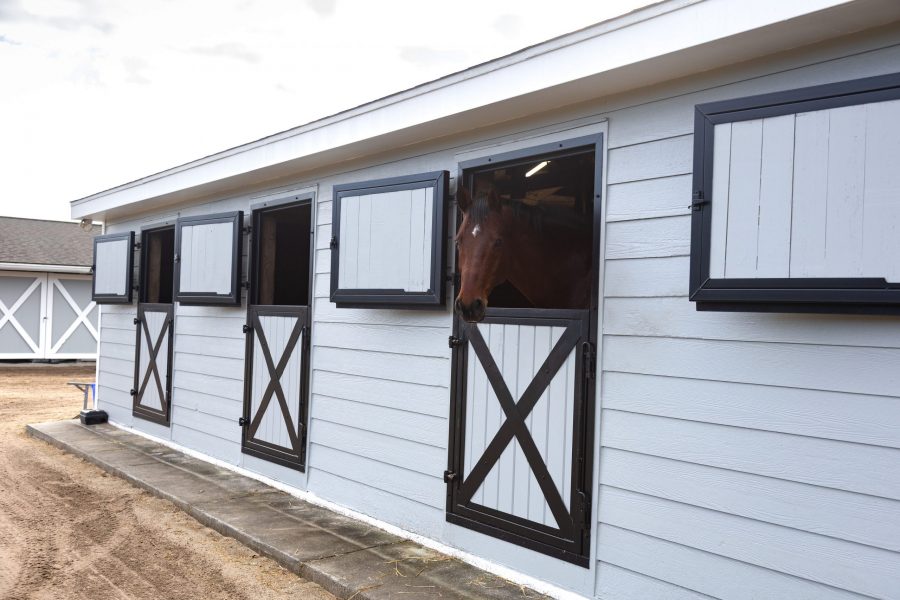 seabrook island equestrian center Preview Image 10