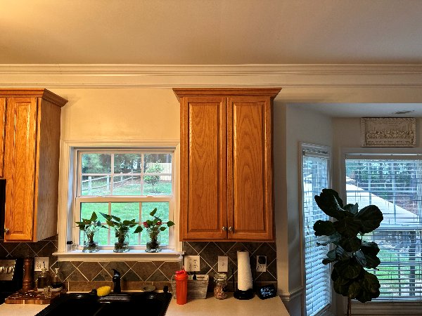 Cabinetry Update from Traditional Wood to White Before