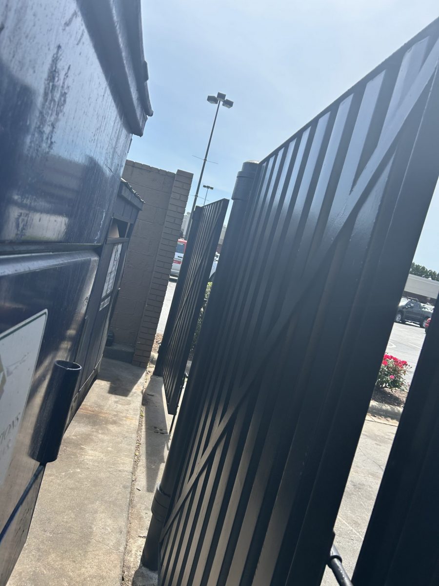 Black Painted Dumpster Gate Preview Image 12
