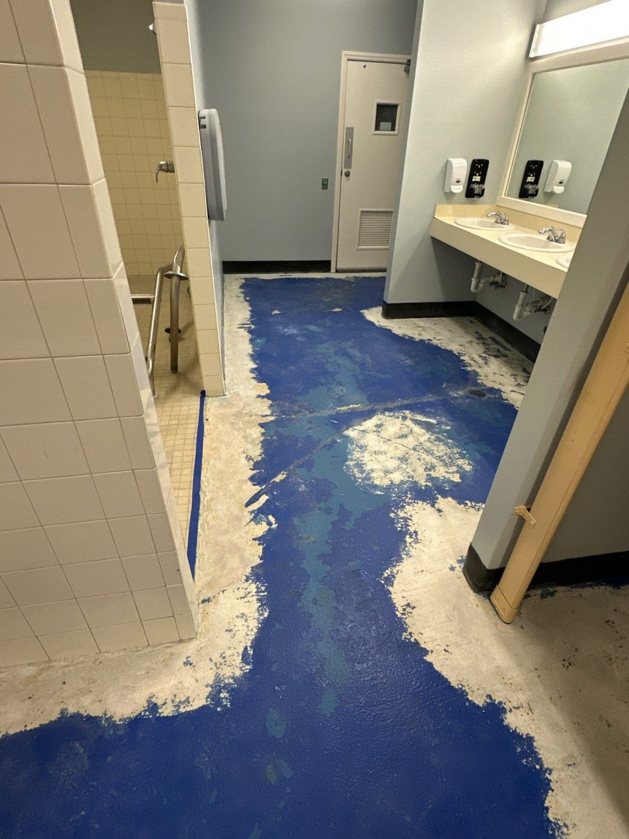 commercial bathroom floor during refinish Preview Image 6