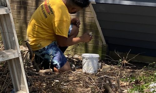 Our Painter painting the Trim
