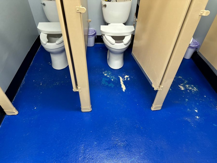 commercial bathroom with chipped blue painted floor Preview Image 3