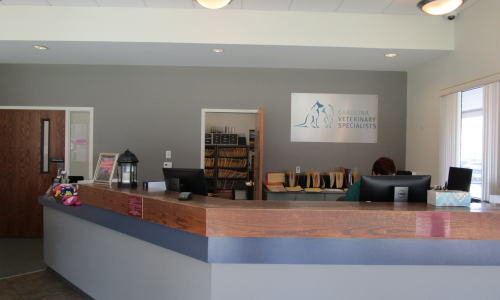 Office Painting Service