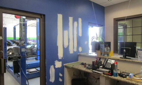 Blemish and Marking Cover