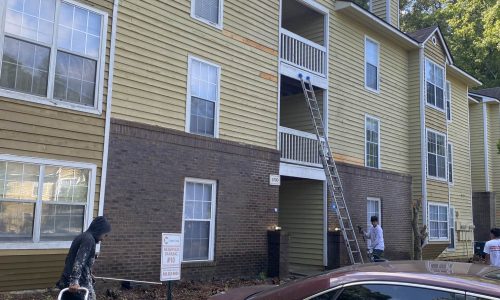 Before View of the Back View